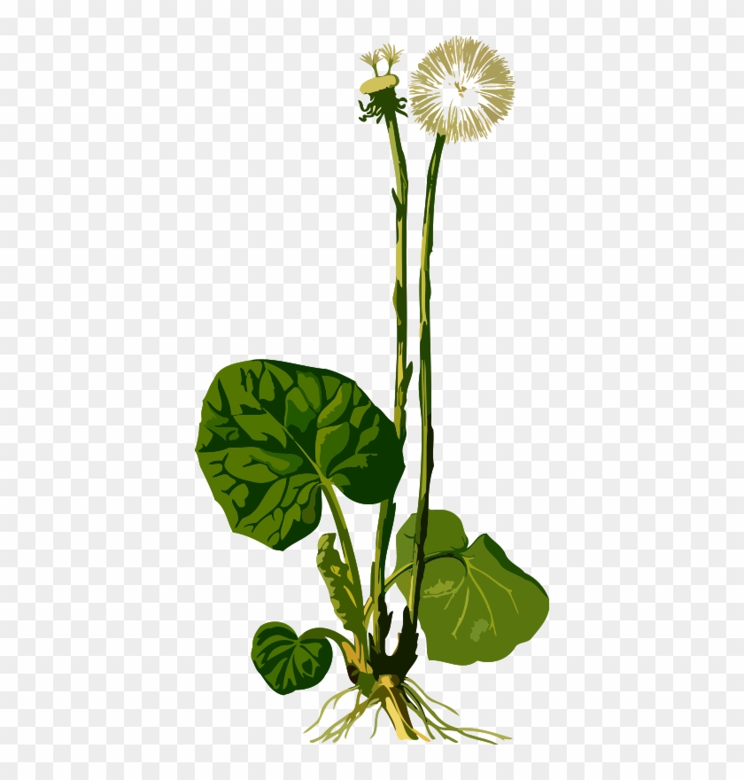 Medium Image - Medium Image #685388