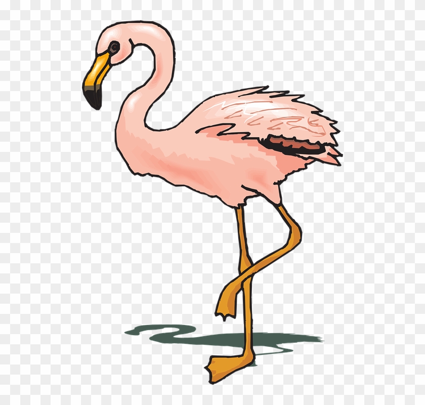 Flamingo Clipart Wings - Flamingo Cliparts #685476