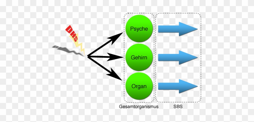 Psyche Gehirn Organ Dhs Sbs - Diagram #685512