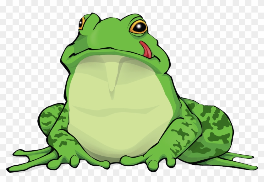 Amphibian Png Free Download - Amphibian Png #685573