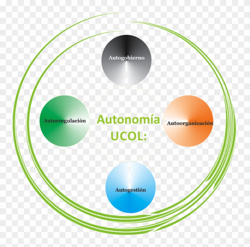 El Principio De Autonomía Establecido En La Constitución - Circle #685741