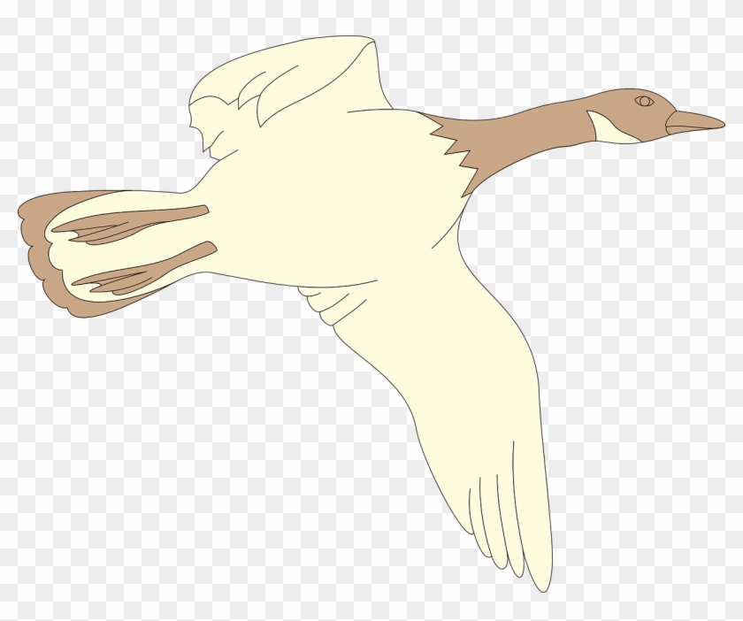 Goose Flying Bird White Brown Transparent Image - Flying Goose Clipart #685877