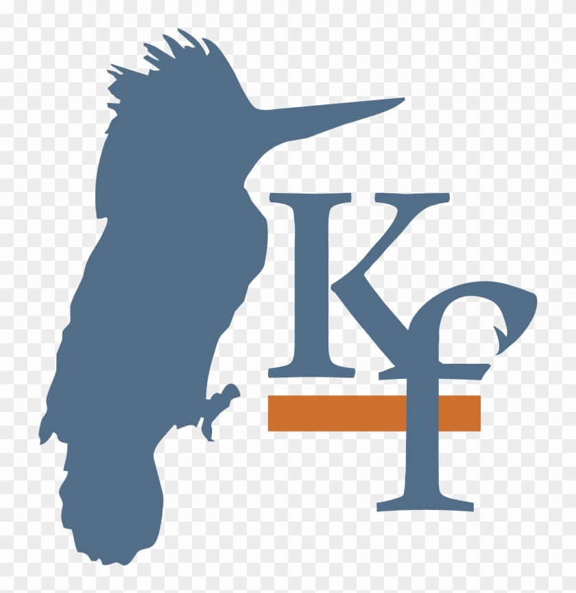 Kingfisher Logo #686158