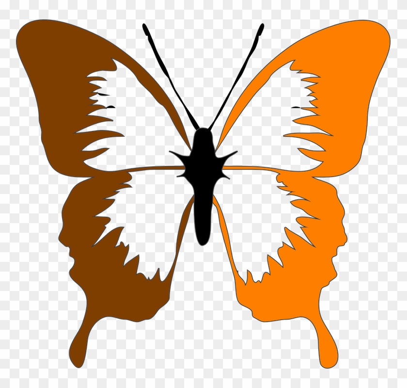 Butterfly Clipart Evolution - Butterfly Clip Art #686200