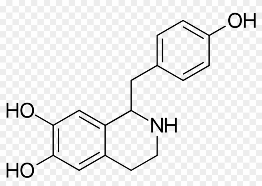 The Mathematics Of Weight Loss Ruben Meerman - Andrographolide #686492