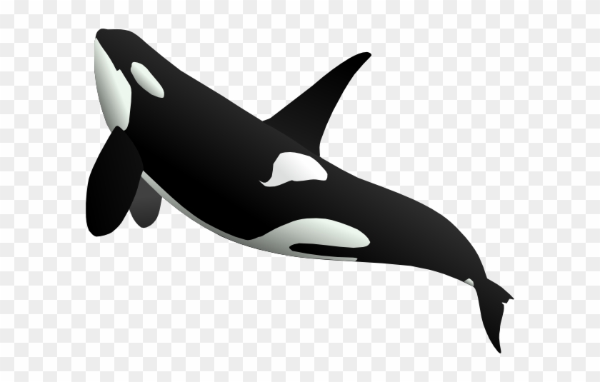Whale Clipart 10 - Whale Clipart 10 #686511