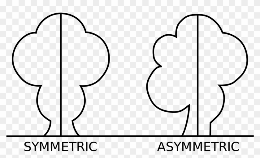 Symmetry Wikipedia What Are The Types Of Symmetry A - Asymmetry Definition #686632