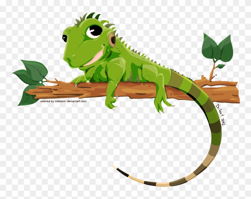 Iguana Png Transparent Image - Iguana Vector #687113