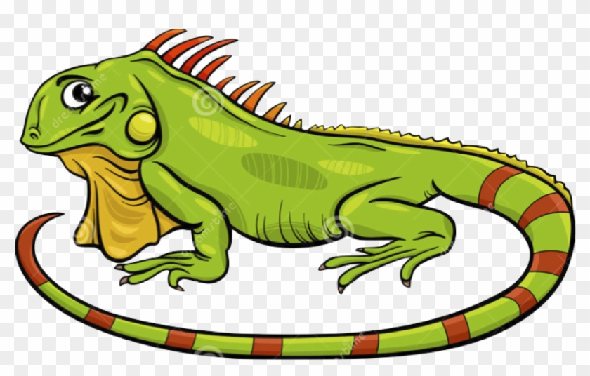 Iguana Cartoon - Free Transparent PNG Clipart Images Download