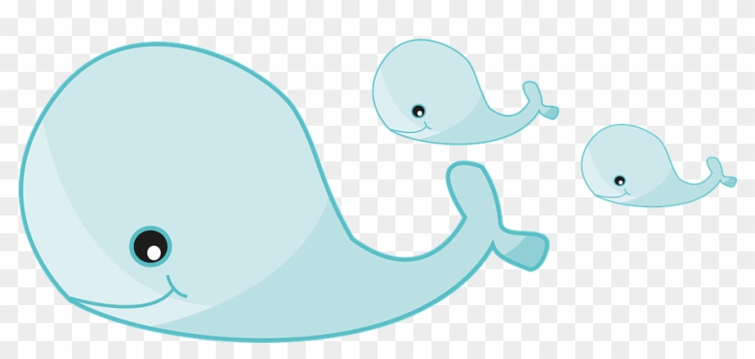 Cartoon Whales Pictures 9, Buy Clip Art - วาฬ การ์ตูน Png #687334