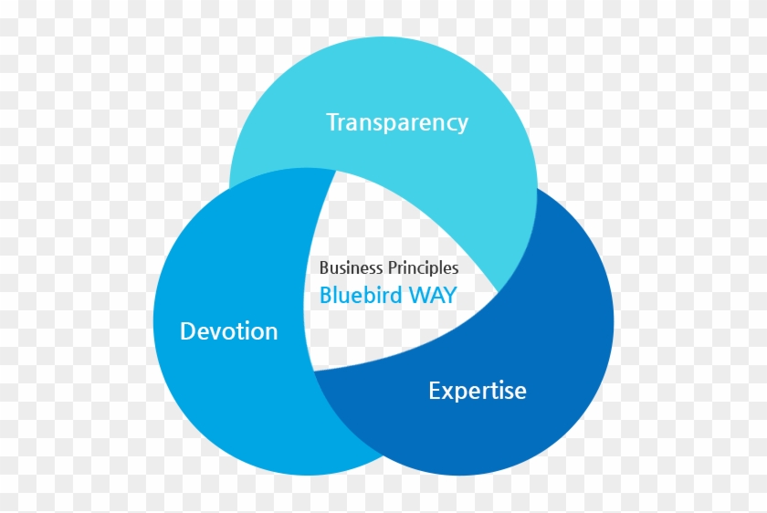 Employees Must At All Times Comply With Bluebird's - Circle #687947