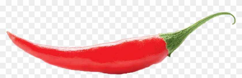 Chili Pepper Cayenne Pepper Serrano Pepper Bird's Eye - Hot Chile #688197