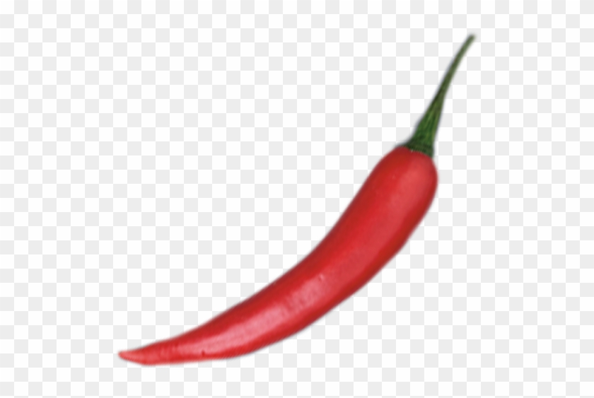 Thai Chili - Thai Chili #688226