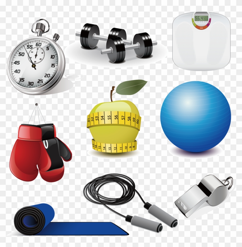 Exercise Equipment Physical Exercise Sports Equipment - Exercise Equipment Physical Exercise Sports Equipment #688297