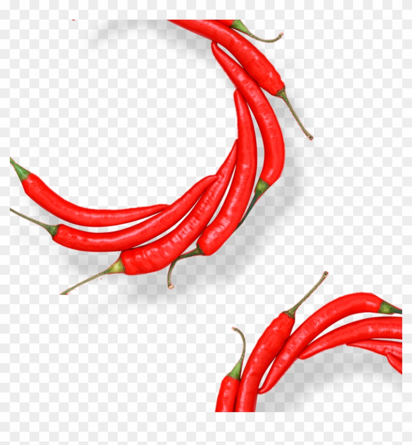 Birds Eye Chili Organic Food Cayenne Pepper Chili Pepper - Birds Eye Chili Organic Food Cayenne Pepper Chili Pepper #688413