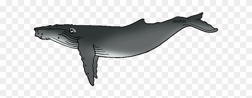 United States Clip Art By - Clip Art Humpback Whale #688582