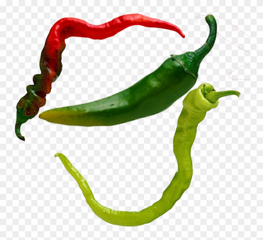 Serrano Pepper Birds Eye Chili Tabasco Pepper Cayenne - Serrano Pepper Birds Eye Chili Tabasco Pepper Cayenne #688804