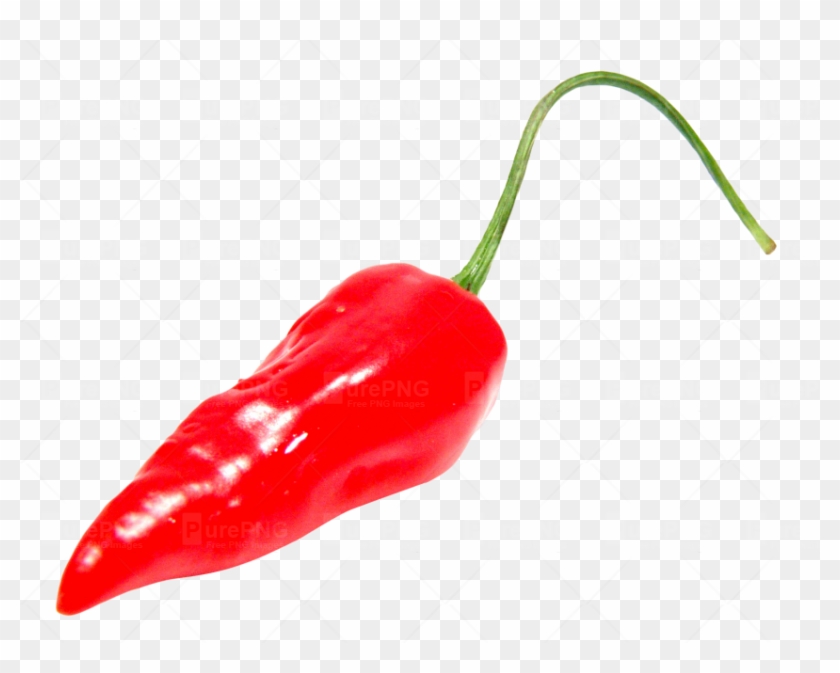 Red Chili Pepper Png Image - Chilli Pepper Png #688964