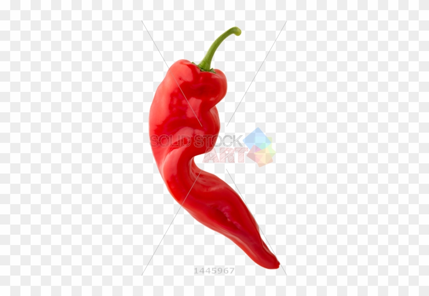 Stock Photo Of Twisted Red Sweet Chili Pepper On Transparent - Tabasco Pepper #688976