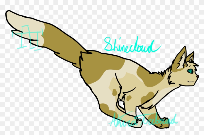Shinecloud-warrior Cats By Akiratrebound - Drawing #689499