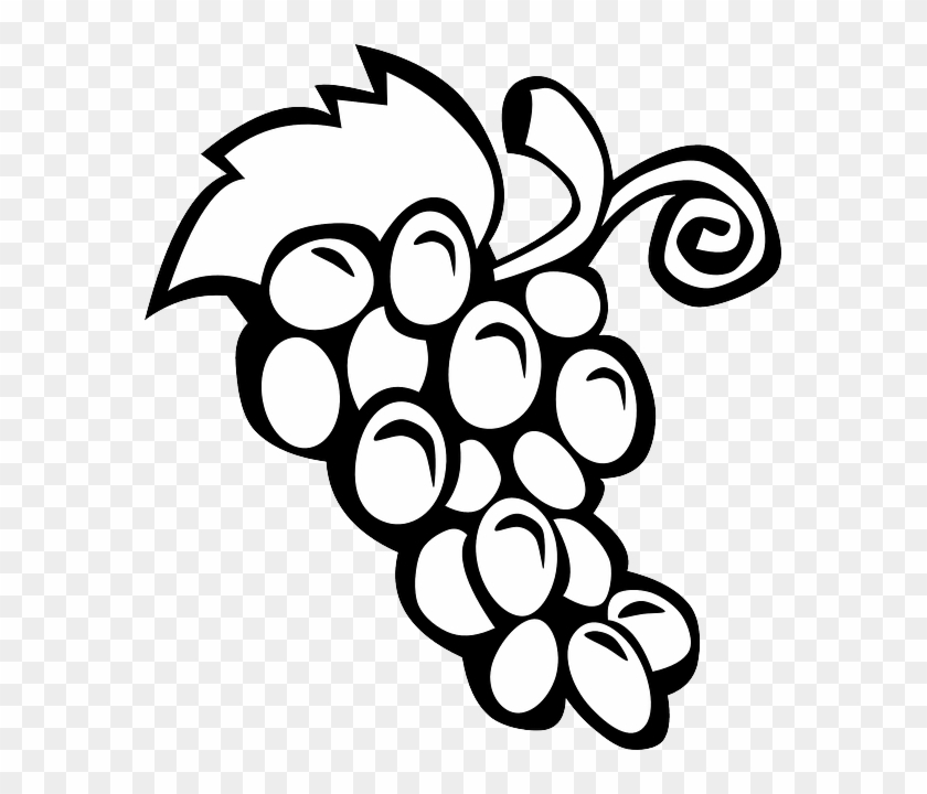 Black, Simple, Food, Fruit, Wine, Grapes, Outline - Fruits Pics For Colouring #689613