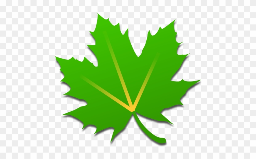 6 By Oasis Feng - Greenify App #689761