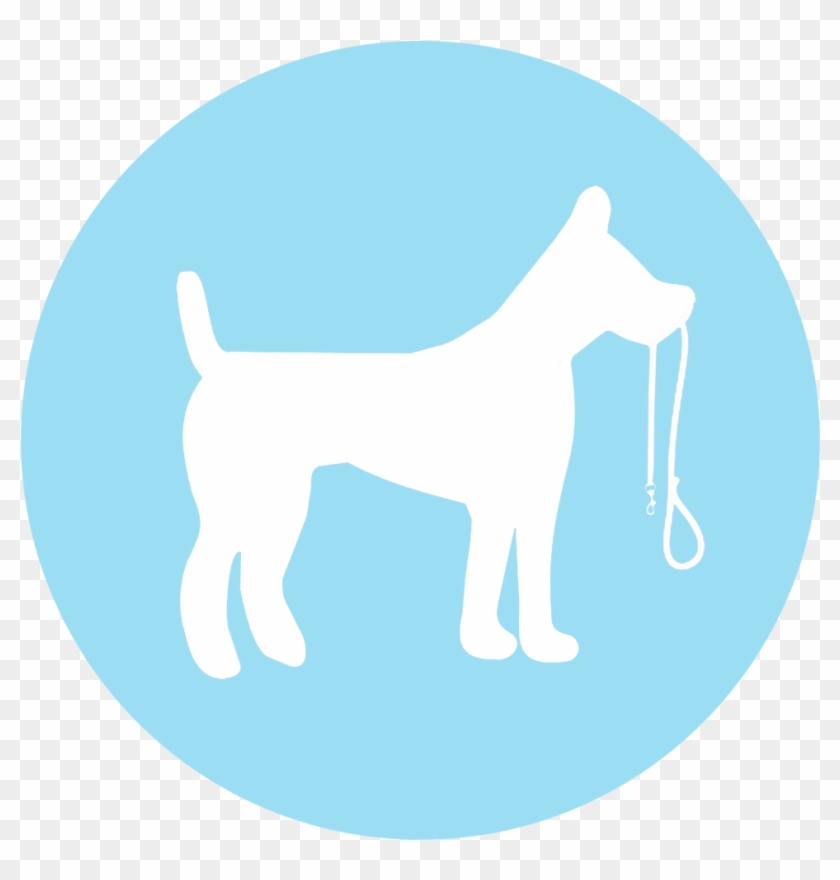 Dog Walking - Non Communicable Disease Icon #689889