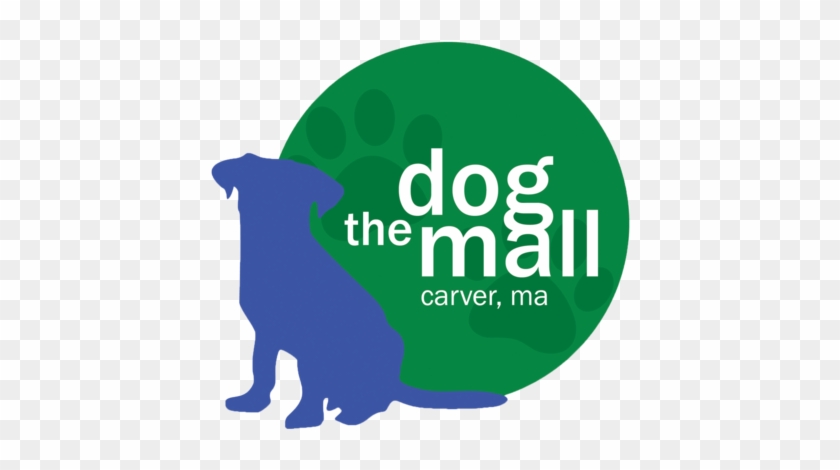 Currently, We Offering Dog Training, Canine Rehabilitation - The Dog Mall, Inc. #689912