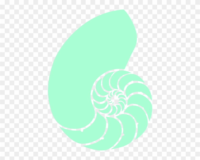 Nautilus Shell Kappa Delta #689972