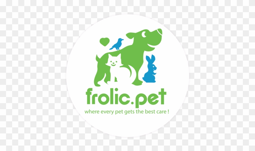 Dog Walking & Pet Sitting Services In Wellington, New - Door #689971