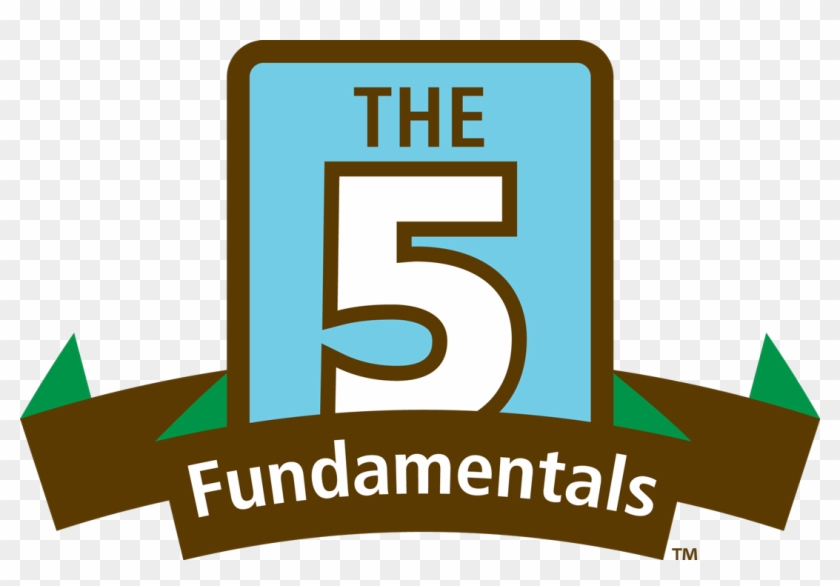 Profile's 5 Fundamentals - Profile's 5 Fundamentals #690091