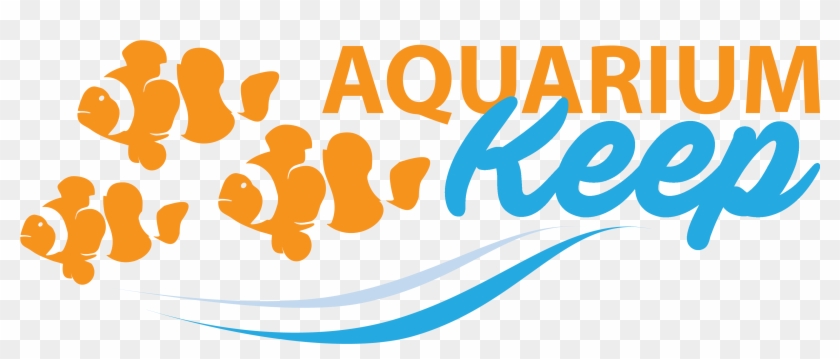 "setup Your Fish Tank Or Aquarium Today" - Aquarium Fish Logo Png #690273