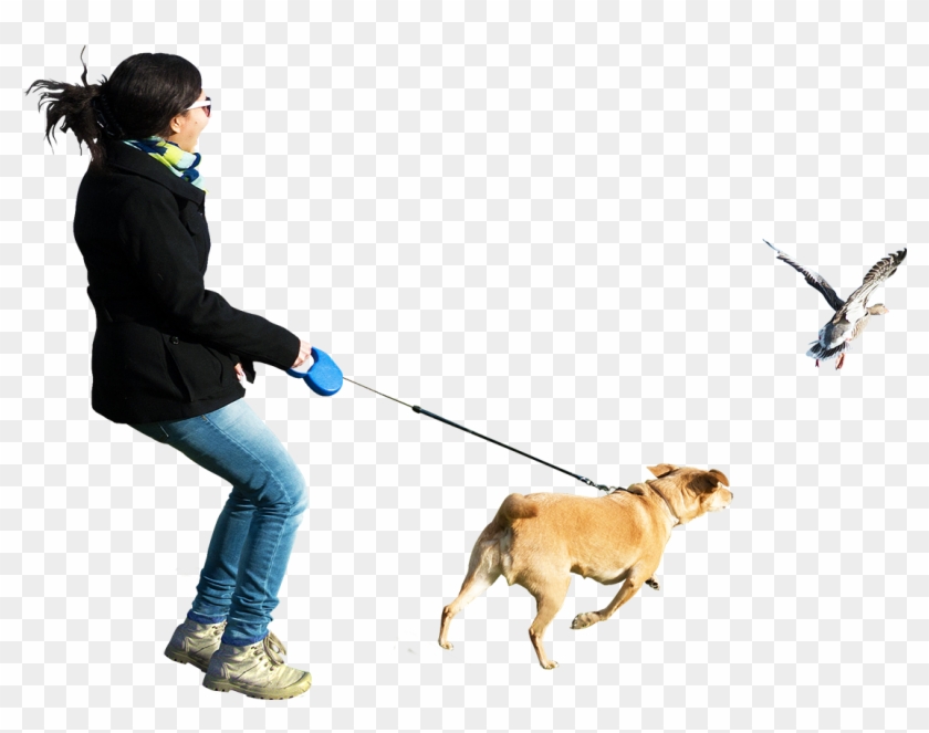 Dog Running At Birds - People Png #690293