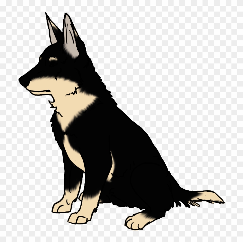 Rovercom Book Dog Boarding Dog Walking Amp More - Lapponian Herder #690354