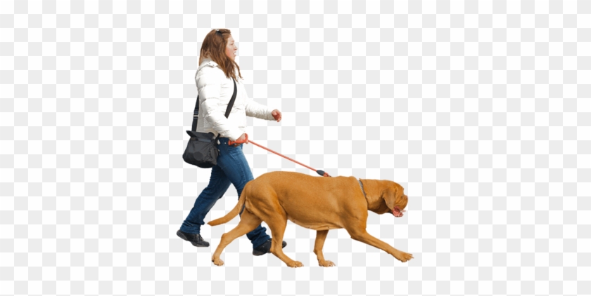 [ Img] - People Walking With Dog #690370