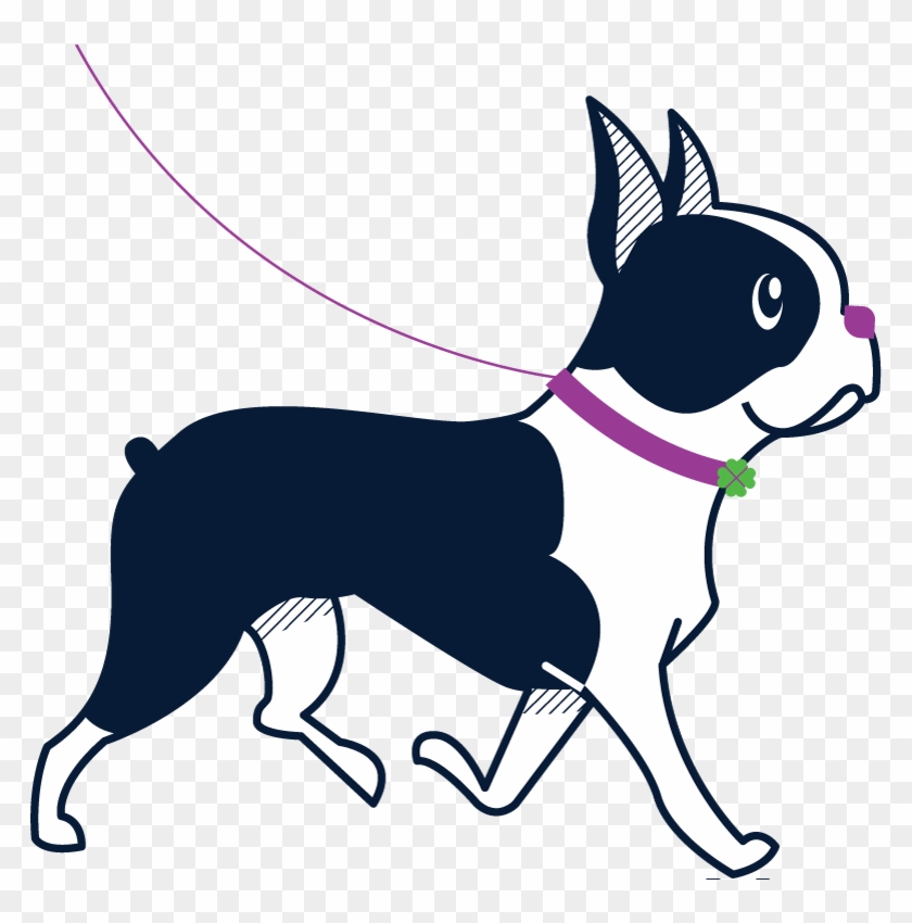 Dog Sitter, Dog Sitting, Dog Walking - Boston Terrier #690375