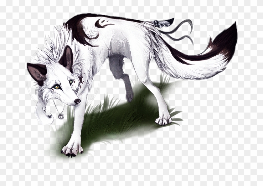 Male Vs Female Wolf Anatomy Gene White And Black Male - Alpha Female Anime Wolves #690709