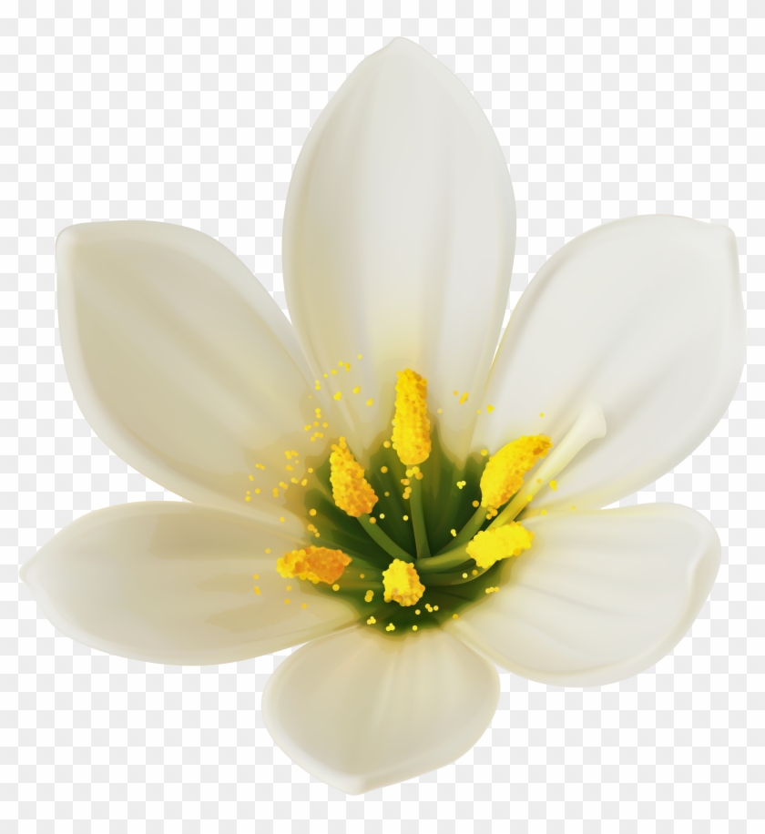 White Flower - Happy New Month Messages #690872