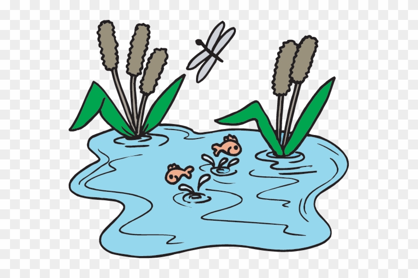 Ecosystem Resources - Fish Pond Clip Art #690900