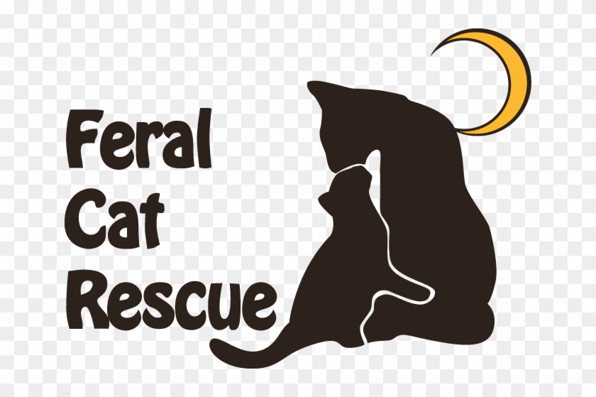 Image 1 Image 2 - Feral Cat Rescue #691166