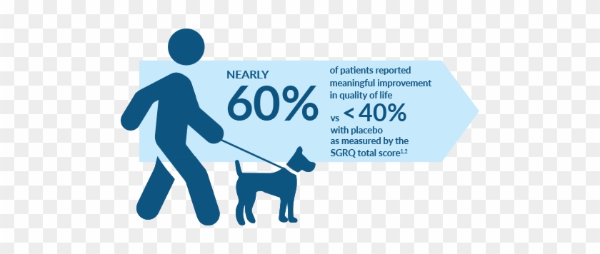 Graphic Showing Utibron Improved Quality Of Life 60% - Dog Vector #691227