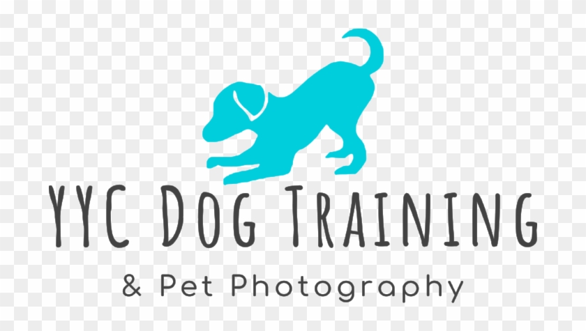 Original On Transparent - Transparency #691272