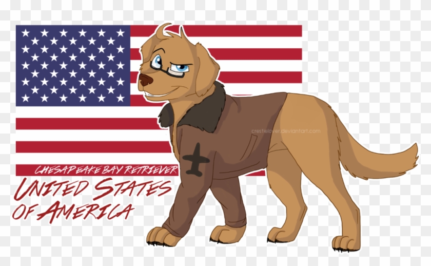 Hetalia Dogs United States Of America - America As A Dog Hetalia #691374