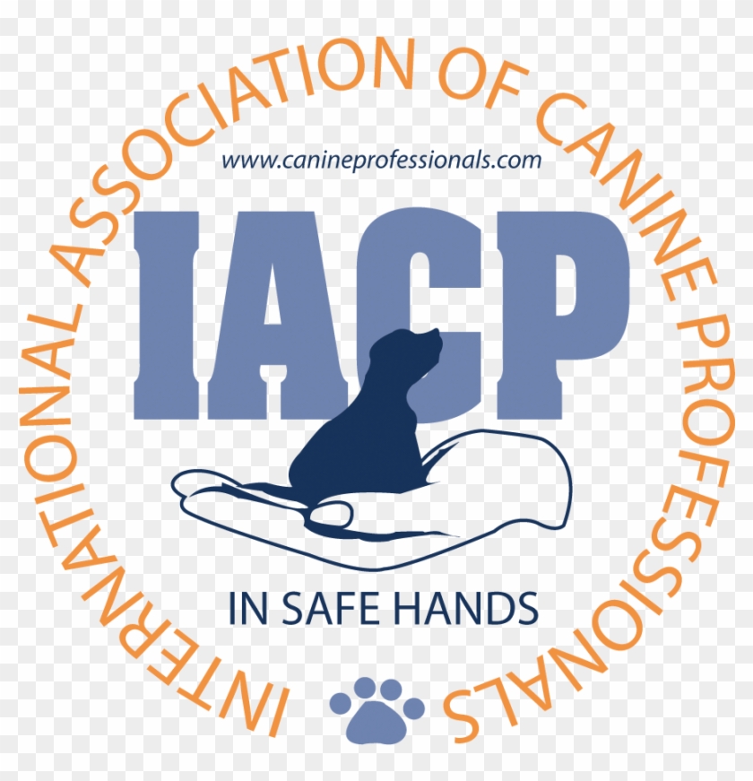 Training, Pack Walks, Boarding Home - International Association Of Canine Professionals #691388