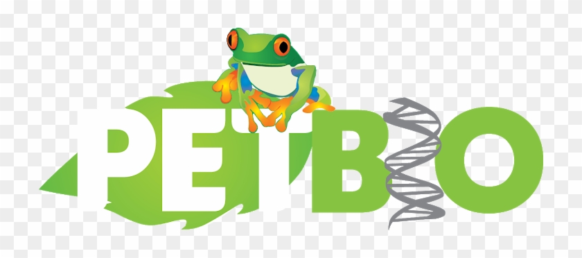 Pet Biologia Ufv - Green-eyed Tree Frog #691462