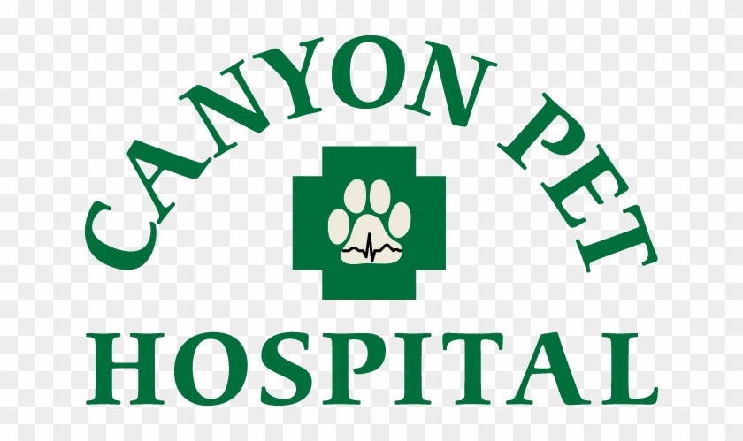 Canyon Pet Hospital - Arch #691473