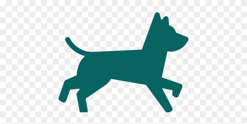 Pet Policy - Dog #691553