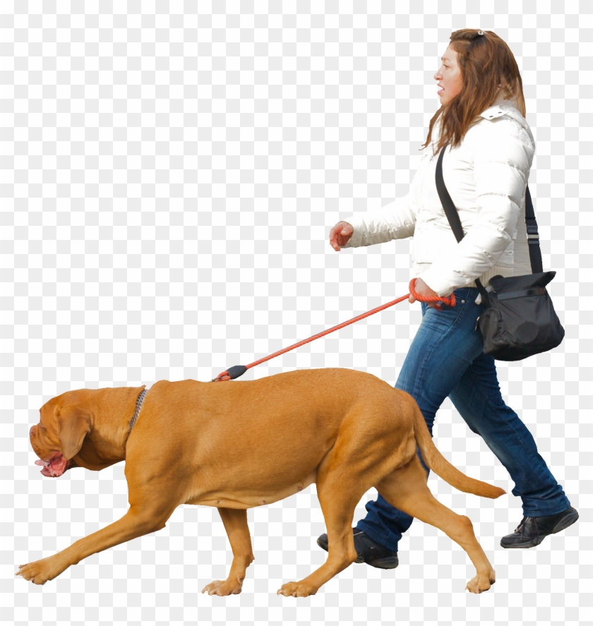 Pix - - Backgrounds V - 7 - 3 Png, - Dog Walking Png #691887