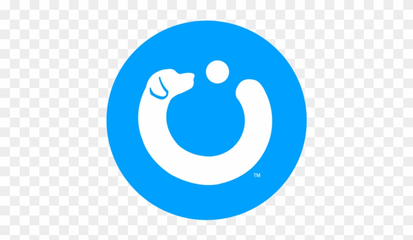 We Are The Best Dog Walkers In New York Cityperiod - Logout Icon Png Blue #691907