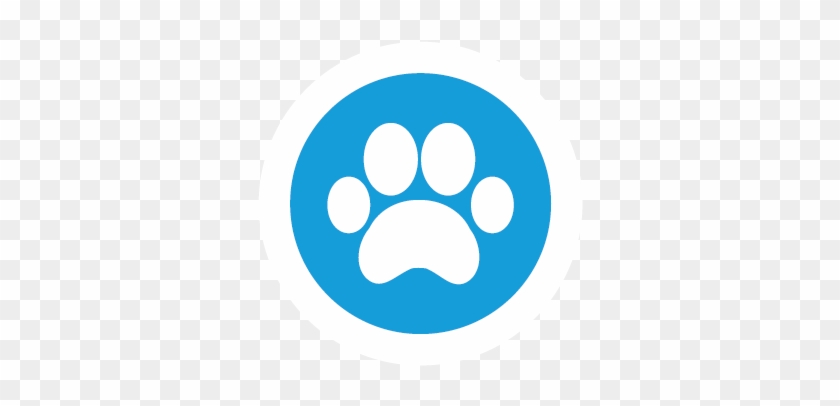 Water Bowls For Dogs Are Provided In Nine Areas, Marked - Linkedin Icon Blue #691930